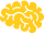 brain